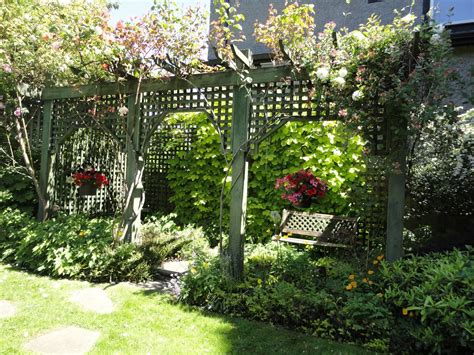 trellis.law|trellis meaning.